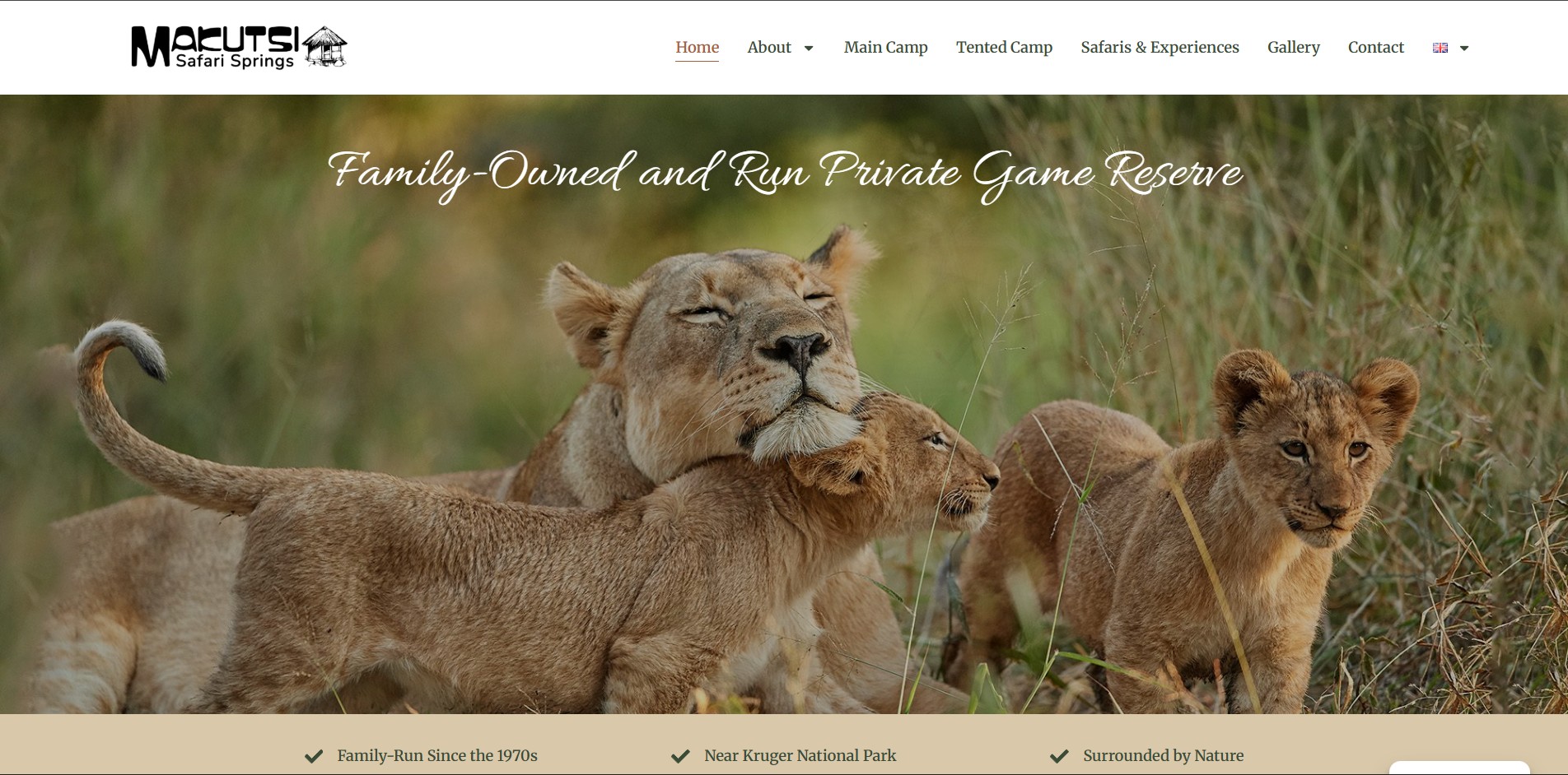 Makutsi Website Design