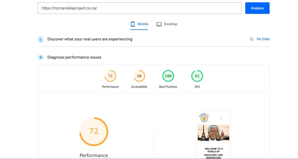my mandela project page speed insights my mandela project page speed insights